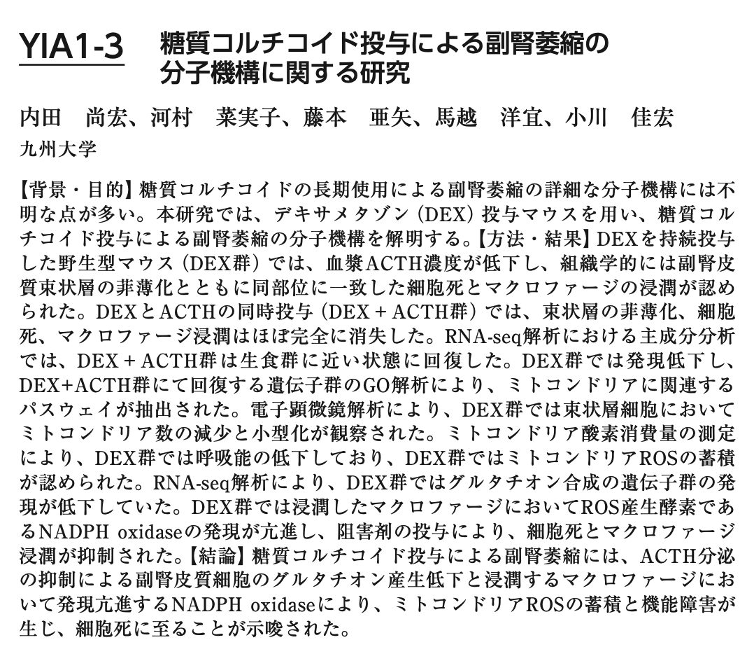 資料