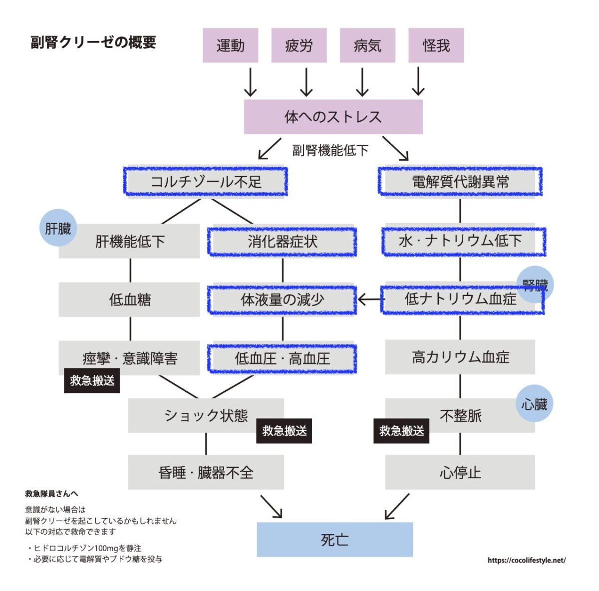 資料